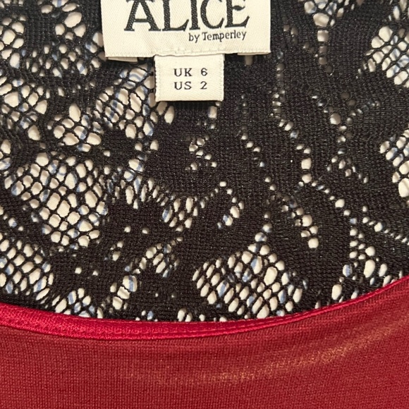 Alice by Temperley Size S burgundy and velour lace dress - Picture 3 of 8
